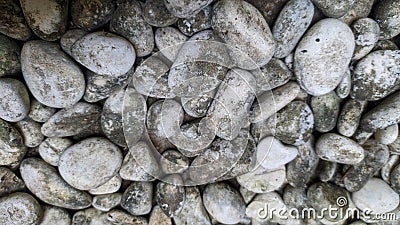 View of White coral rocks Stock Photo