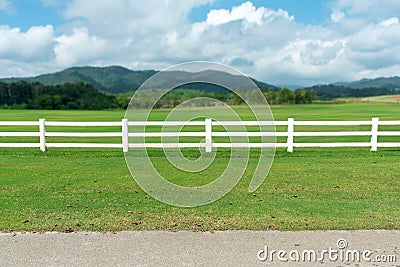 View of White fence on grass garden Stock Photo