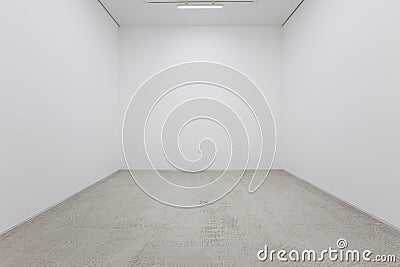 A view of a white painted interior of an empty room or an art gallery with a fluorescent lighting and wood floors Stock Photo