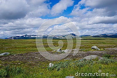 View of the wild tundra landscape ofthe Stekenkokk Plateau in Swedish Lappland Stock Photo