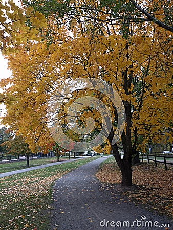 Winding footpath in a park, Stockholm, Sweden. Autumn time. Editorial Stock Photo