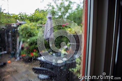 View from the window to the garden in the summer on a rainy day. Raindrops on the window glass. Stock Photo