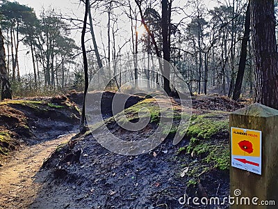 View on WWI trenches of Flanders Fields in Mastenbos Kapellen, Belgium Editorial Stock Photo