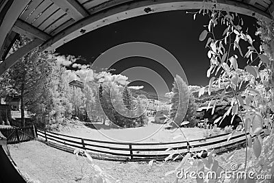 View of yard in infrared light Stock Photo