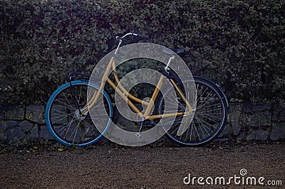 View of a yellow bicycle parked by a bush fence Editorial Stock Photo