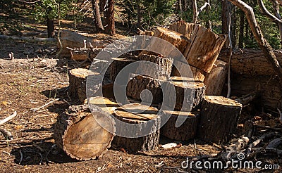 Views Along a Hiking Trail Near Lake Tahoe Stock Photo