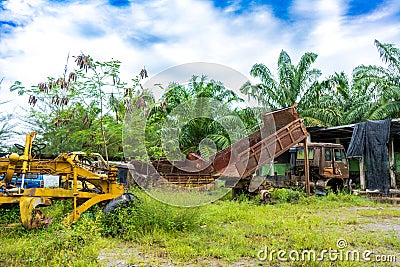 Views of broken down multiple kind of vehicles with the plants start to grow around them Stock Photo