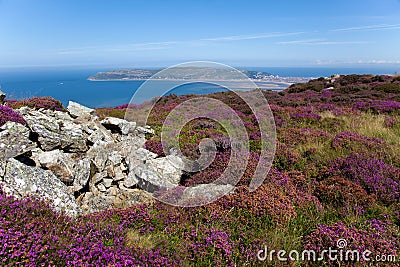Views from Conwy Mountain Stock Photo