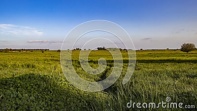 Golan Heights nature Trail - spring 2019 Stock Photo