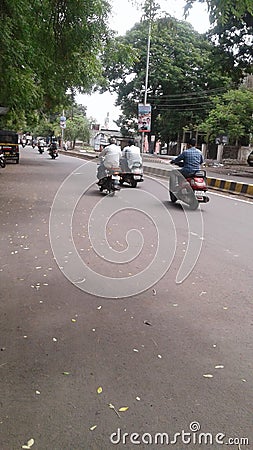 Views of green trees at both side of roads Editorial Stock Photo