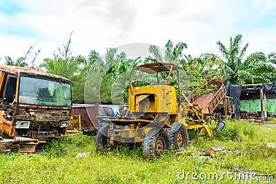 Views from the multiple kind of vehicles broken down with the plants start to grow around them at a park Stock Photo