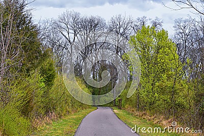 Views of Nature and Pathways along the Shelby Bottoms Greenway and Natural Area Cumberland River frontage trails, bottomland hardw Stock Photo