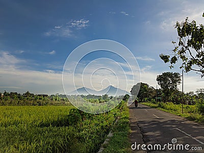 views of rice fields with a beautiful and fres mountain background Stock Photo