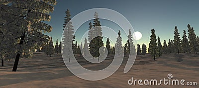 Views of snow-covered fir in winter. With sun Stock Photo