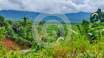 Views in Warmare District, Manokwari with unspoiled nature Stock Photo