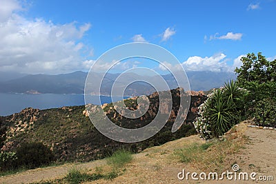 ViewSight of the bayberry of Corsica Porto Stock Photo