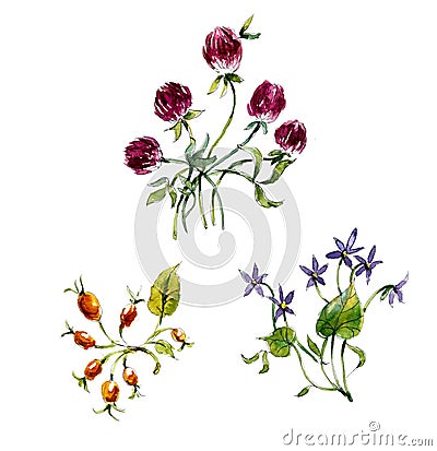 Vignette from flowers. Watercolor hand drawing illustration Stock Photo
