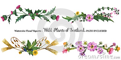 Vignette from wild plants of Scotland Stock Photo