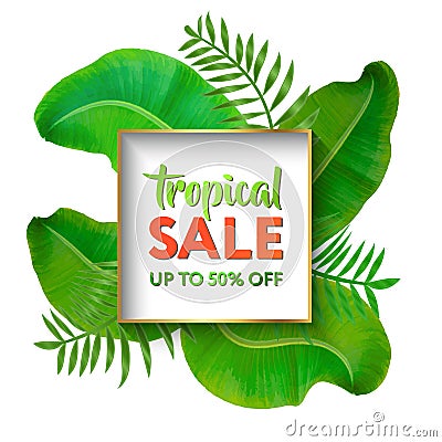 Summer sale banner modern design tropical leaves background. Tropical summer banner. Banana leaf, exotic palm leaves Vector Illustration