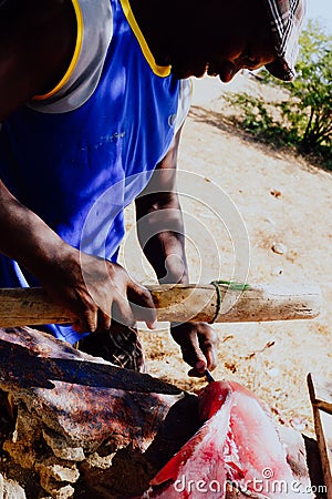 local fisherman cleaning the catch in the shade to get away from the tropical heat Editorial Stock Photo