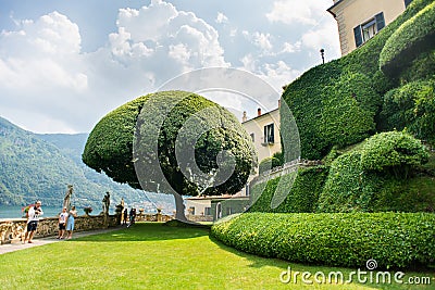 Villa Balbianello. Lake Como. Famous Tree in Garden at Villa del Balbianello on Lake Como. Italy Editorial Stock Photo