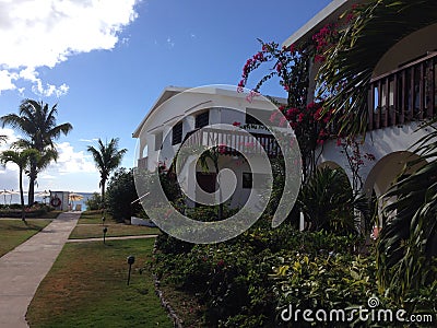 Villa Hotel Resort Palm Bush House Stock Photo