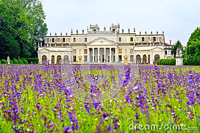 Villa Pisani purple flowers meadow Venice province Riviera del B Stock Photo