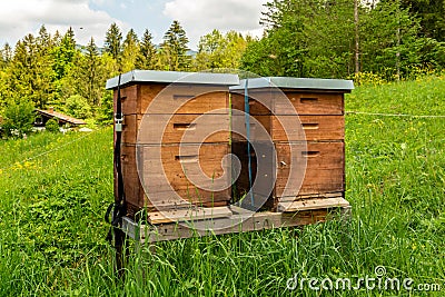 Village apiary. Beehives on an alpine meadow in summer Stock Photo