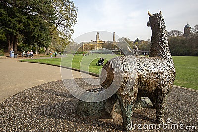 The village built by alpacas Editorial Stock Photo