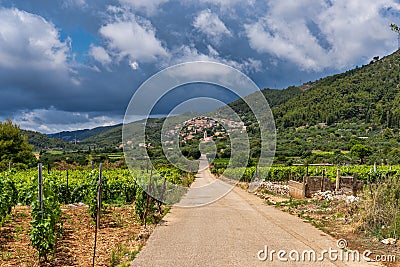 Village of Cara in green island landscape, Korcula island in Dalmatia, Croatia Stock Photo