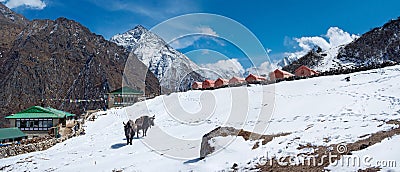 Village in Gokyo valley in Himalayas, Nepal Stock Photo