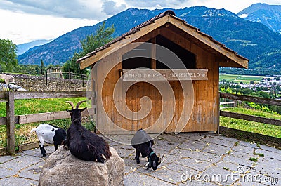 Village of Heidi - Heididorf - in Switzerland Editorial Stock Photo