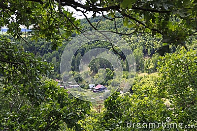 Village house and garden in the village of Lokh, Saratov region in Russia in the forest among green trees on a sunny summer day Stock Photo