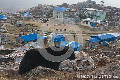 Village Kyangjin Gompa.Nepal. View from Kyangjin Ri Editorial Stock Photo