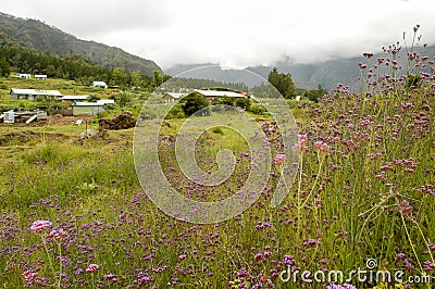 The village of La Nouvelle on cirque of Mafate Stock Photo