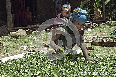 Village life Ethiopian mother with child dries herbs Editorial Stock Photo