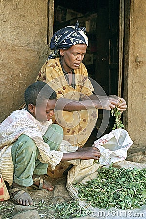 Village life Ethiopian mother and son clean herbs Editorial Stock Photo