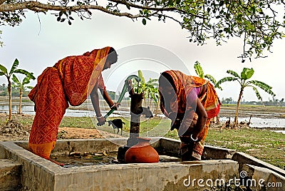 Village life of Sundarban Editorial Stock Photo