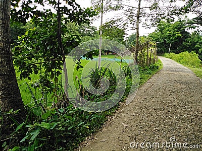 Village with many beautiful environments Stock Photo