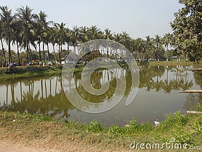 Village nature with pond and jungles Stock Photo