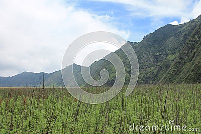 Indonesian Mountains Village, Near Volcano Mont Bromo Stock Photo