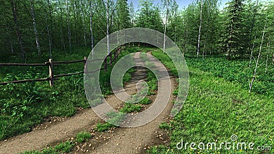 Village road passes throught forest in summer time Stock Photo