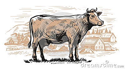 Cow grazing in a farmland. Village, rural landscape, engraving sketch. Dairy farm vector illustration Vector Illustration