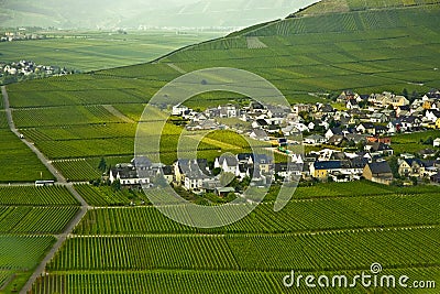 village of Trittenheim in the vineyards at the river Mosel Stock Photo
