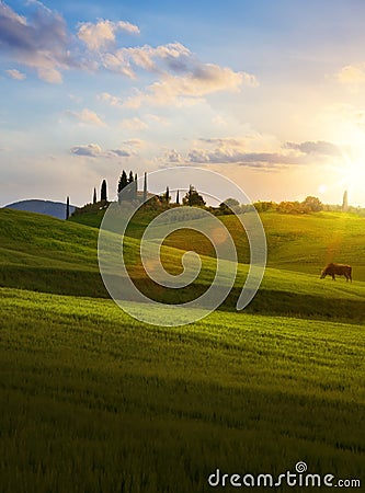 village in tuscany; Italy countryside landscape with Tuscany rolling hills ; sunset over the farm land Stock Photo