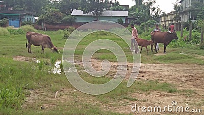 Village view in a colony at Dimapur, Nagaland, India. Editorial Stock Photo