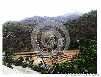 Village view during evening from mansa devi mandir Stock Photo