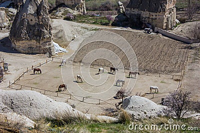 Village view of Goreme in Cappadocia with horses.Beautiful natural terrain and the beauty of the UNESCO World Heritage landscape. Stock Photo