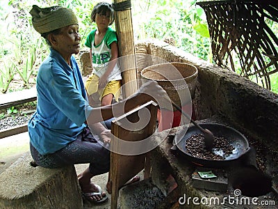 Villagers processing coffee beans at Satria Agrowista plantation, Tampaksiring, Indonesia Editorial Stock Photo