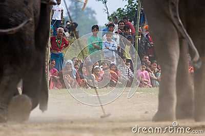 Villagers watching a polo tournament, during polo game, Thakurdwara, Bardia, Nepal Editorial Stock Photo
